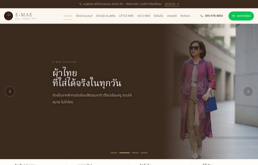 ตัวอย่างเว็บ E-MAE